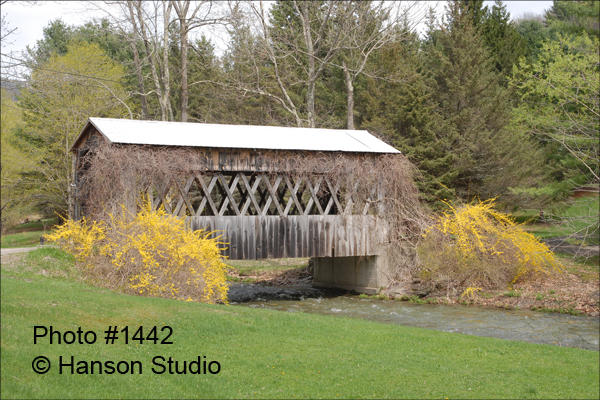 Sandgate, VT - Kreffer's Crossing Bridge - Spring